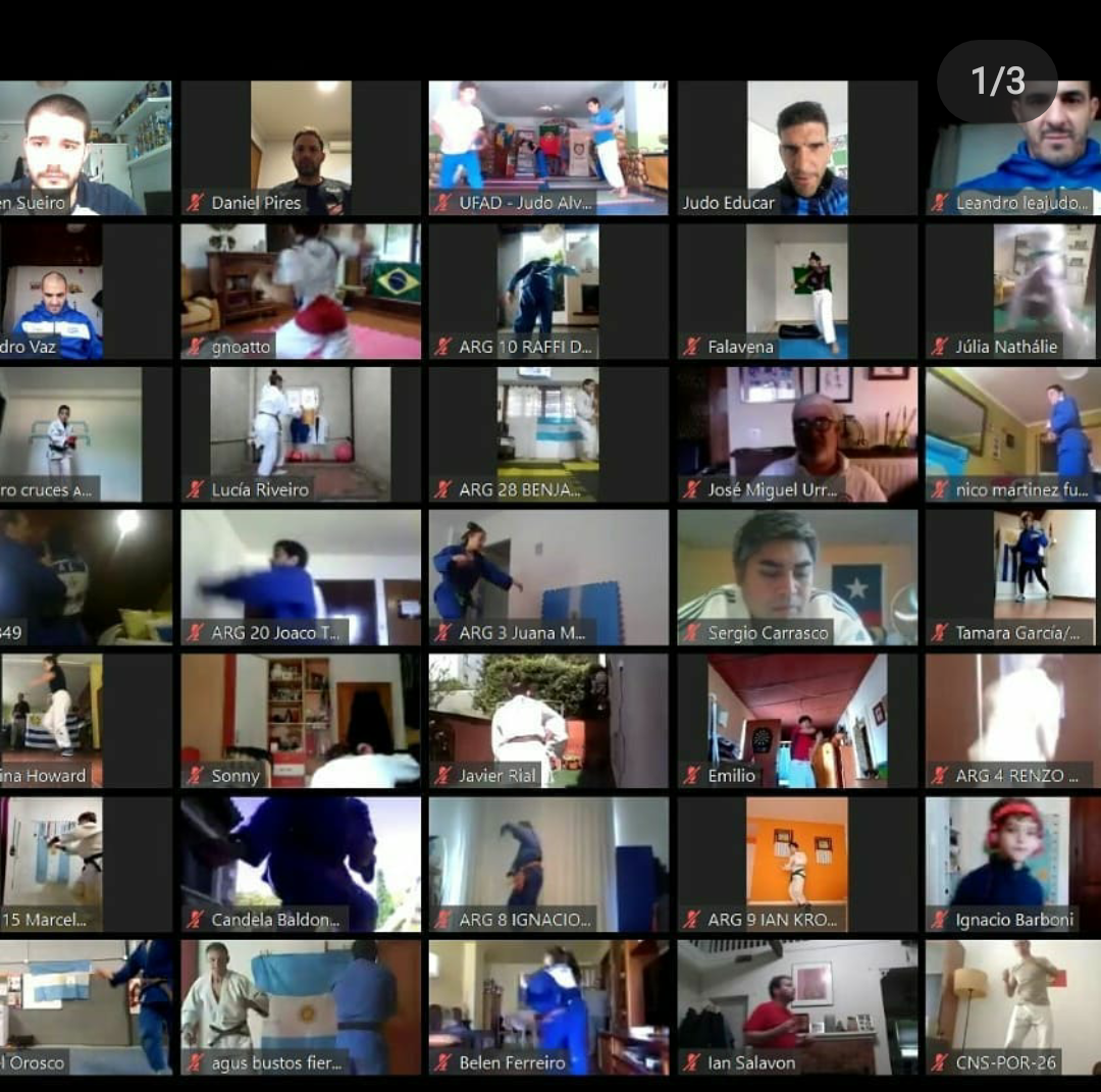 Imagen de zoom de un clinic online, cedida por gimnasio fibra